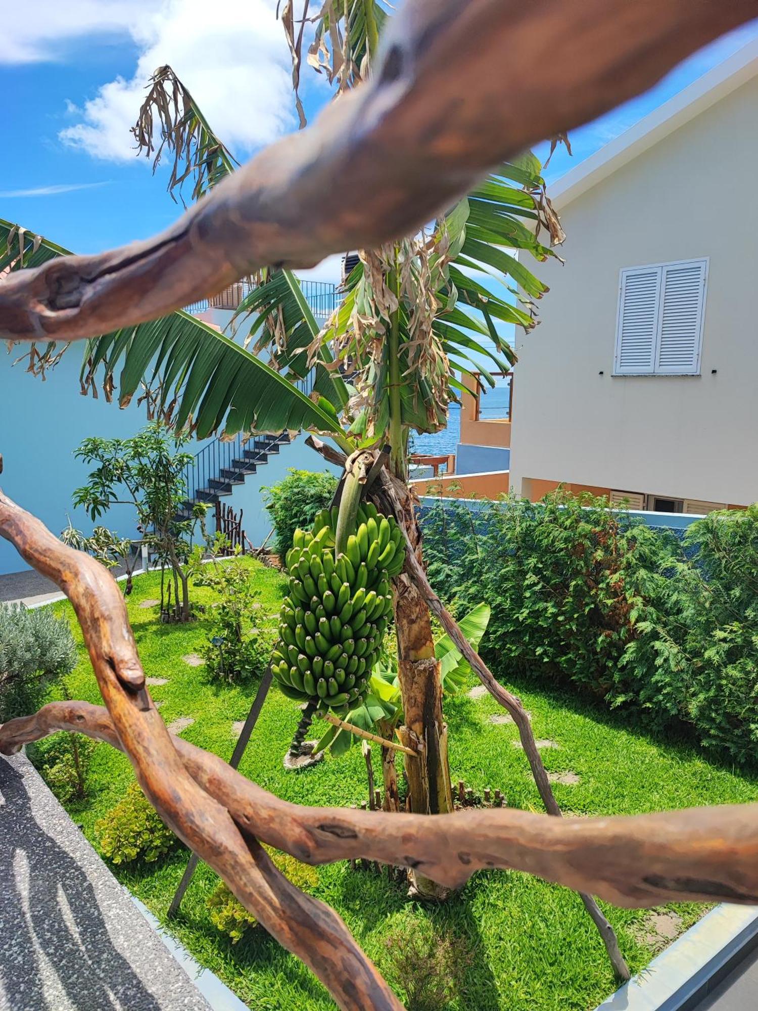 Cottage Pearl - Rural Holiday Experience By Seapearl Paul do Mar  Exteriér fotografie
